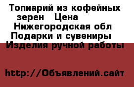 Топиарий из кофейных зерен › Цена ­ 1 000 - Нижегородская обл. Подарки и сувениры » Изделия ручной работы   